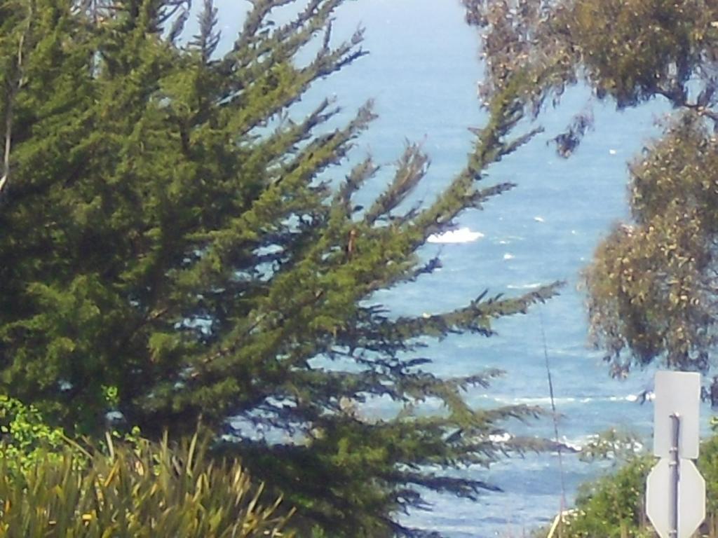 Super 8 By Wyndham Fort Bragg Buitenkant foto